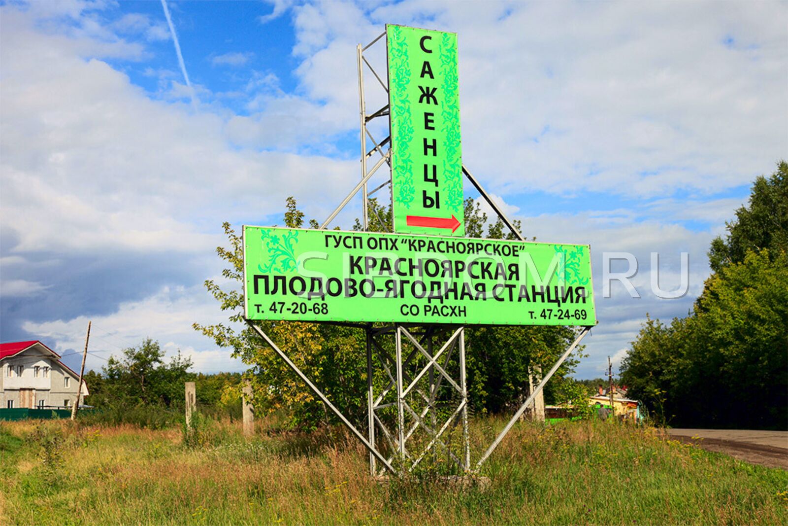 Продолжится застройка Плодово-ягодной станции . СИБДОМ