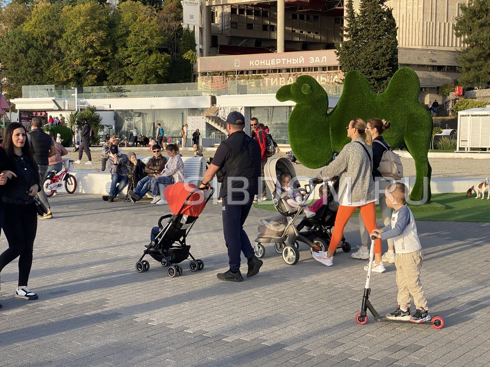 Многодетные семьи могут подавать документы на выплату от государства на  погашение ипотеки. СИБДОМ